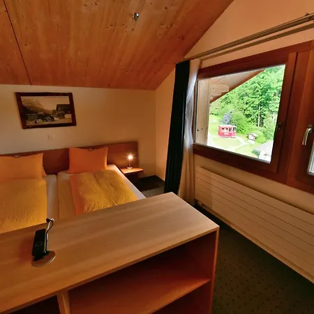 Wetterhorn Hotel Grindelwald