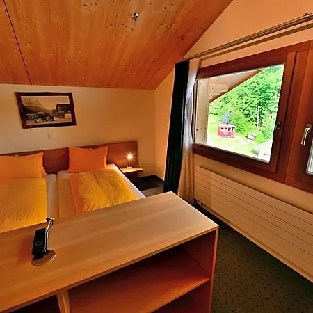 Wetterhorn Hotel 3*